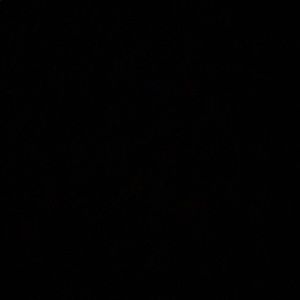 Meet your Posher, Dessell